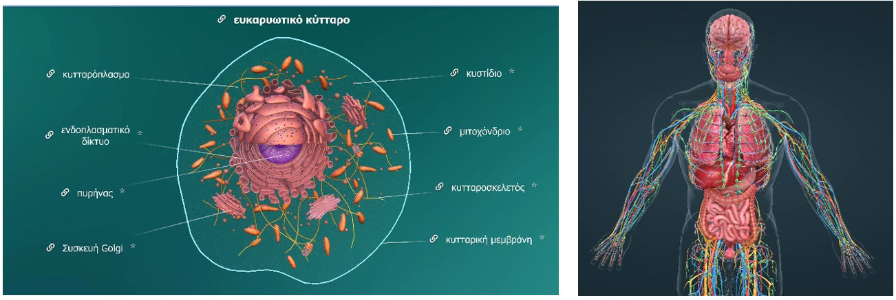 biol